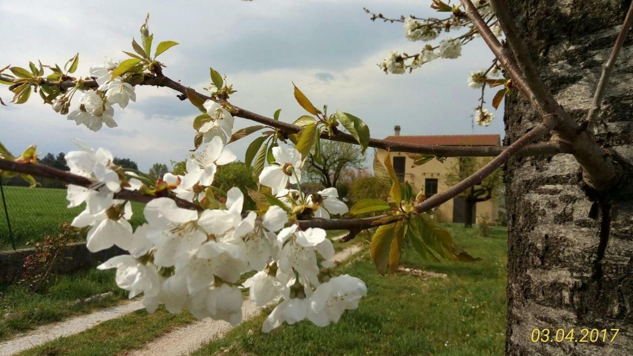 B&B Fior Fiore Spello Extérieur photo
